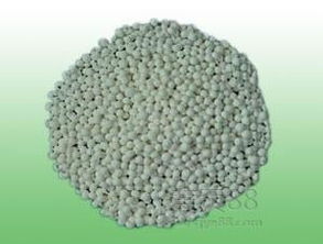 广东活性氧化铝球 价格解析与优质供应商选择指南